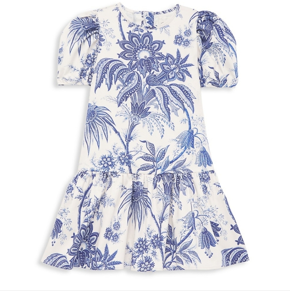 Cara Cara Blue Florrie Toile Kids Dress